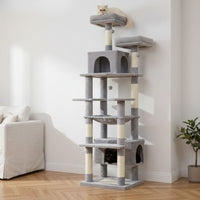 Arbre à Chat Maine Coon Gris Foncé Structure Imposante 205cm