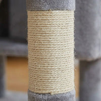 Arbre à Chat Maine Coon Gris Foncé Structure Imposante 205cm