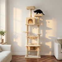 Arbre à Chat Maine Coon Gris Foncé Structure Imposante 205cm