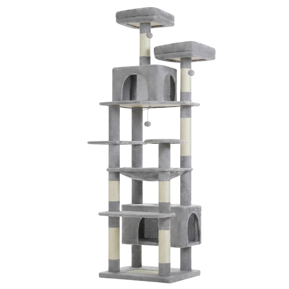 Arbre à Chat Maine Coon Gris Foncé Structure Imposante 205cm