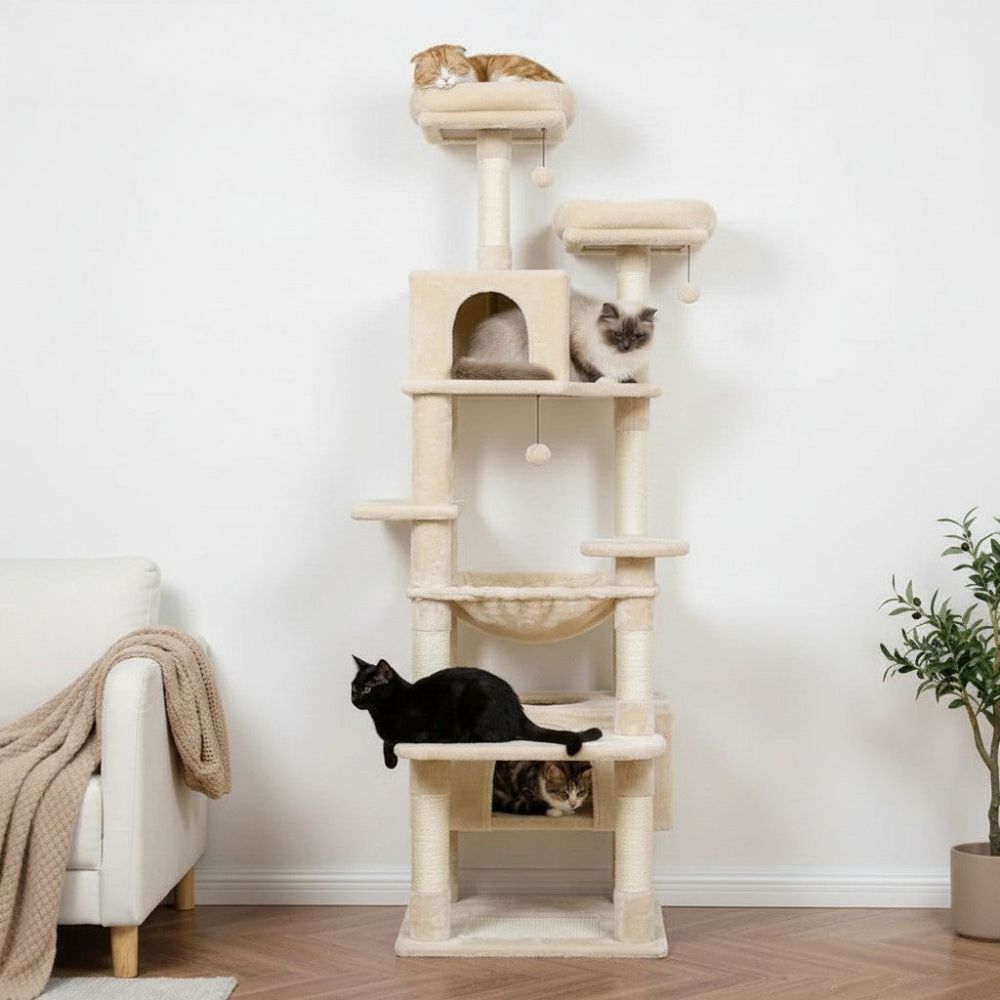 Arbre à Chat Maine Coon Gris Foncé Structure Imposante 205cm