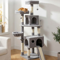 Arbre à Chat Maine Coon pour Appartement 162cm
