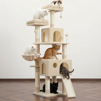 Arbre à Chat Maine Coon pour Appartement 162cm
