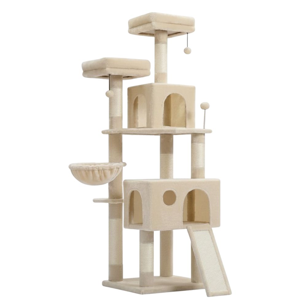 Arbre à Chat Maine Coon pour Appartement 162cm