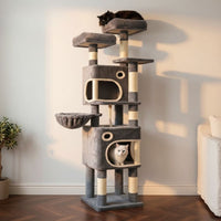 Arbre à Chat Maine Coon XXL Poteaux Renforcés 160cm