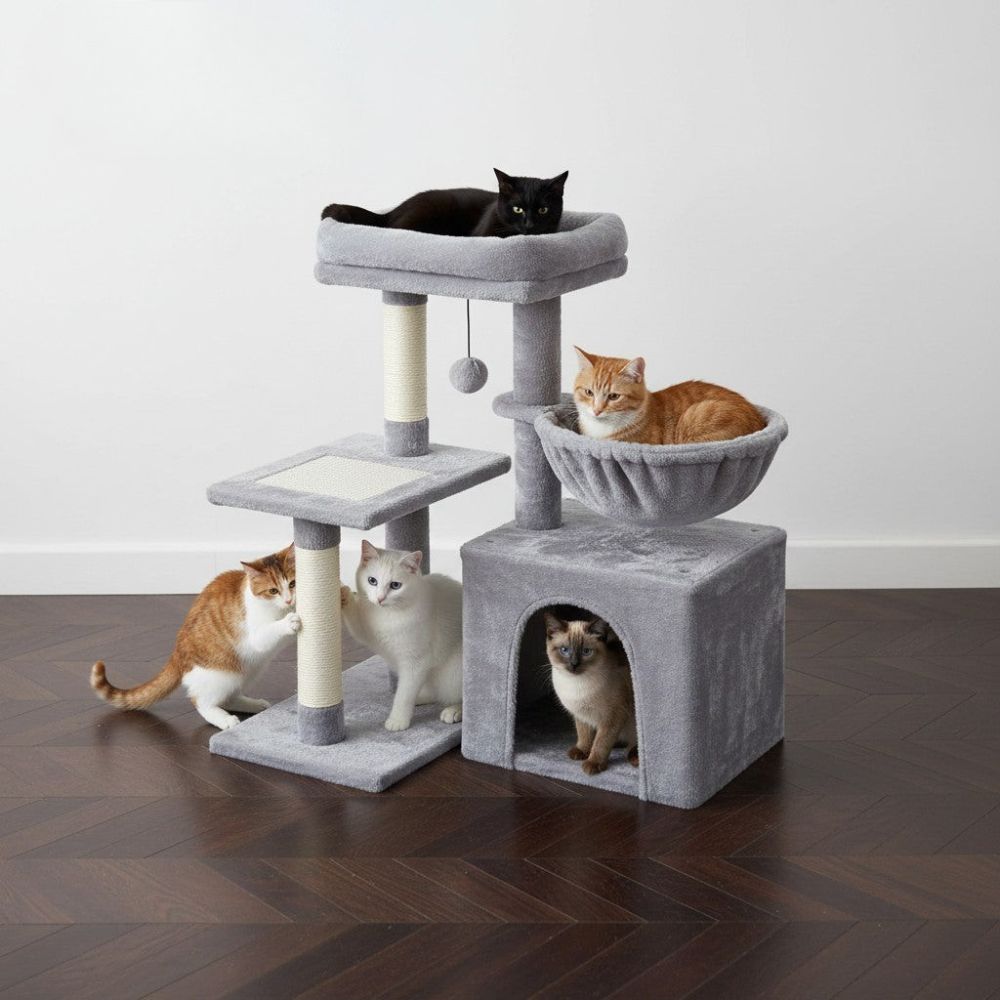 Arbre à Chat Petit Budget Fonctionnel et Stable 72cm