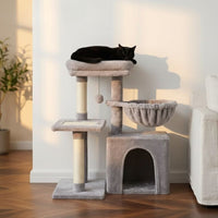 Arbre à Chat Petit Budget Fonctionnel et Stable 72cm