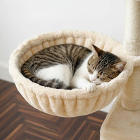 Arbre à Chat Petit Modèle Studio Compact 72cm
