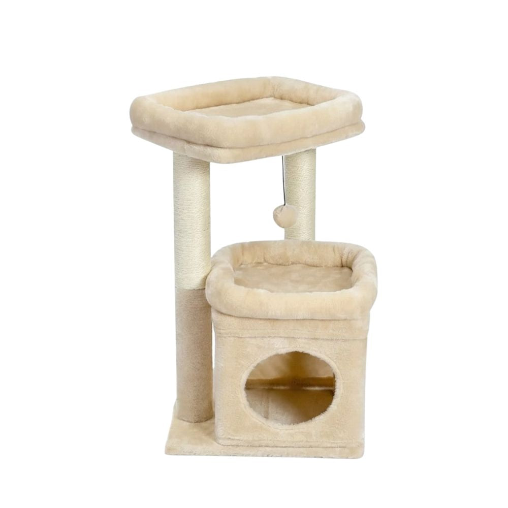 Arbre à Chat Petit Prix Fiable et Compact 60cm