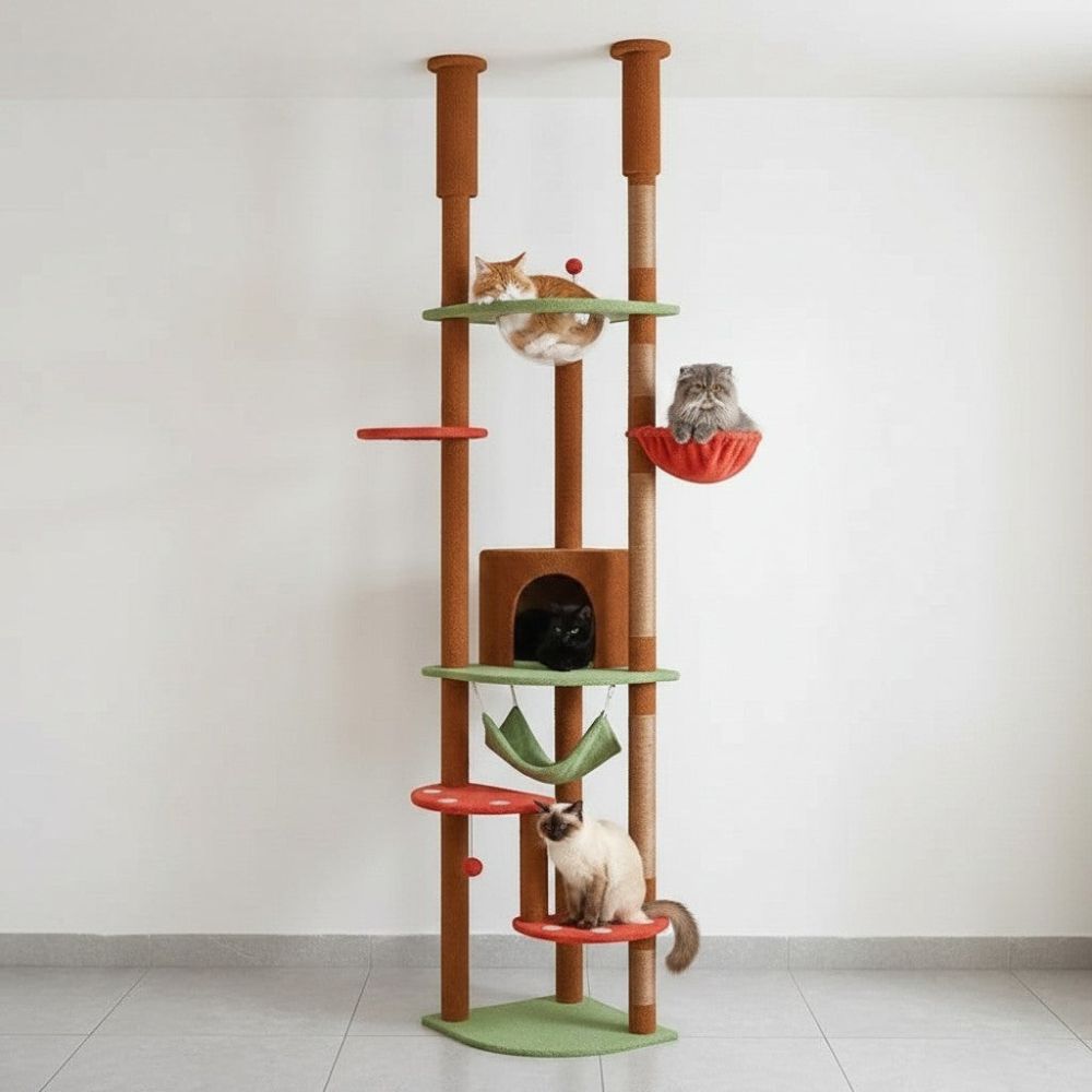 Arbre à Chat Plancher au Plafond Multi-Teintes 258cm