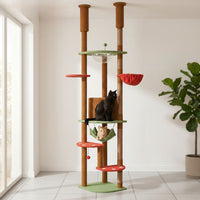 Arbre à Chat Plancher au Plafond Multi-Teintes 258cm
