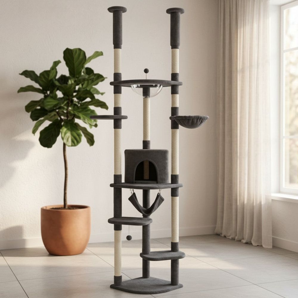 Arbre à Chat Plancher au Plafond Multi-Teintes 258cm