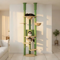Arbre à Chat Plancher au Plafond Multi-Teintes 258cm