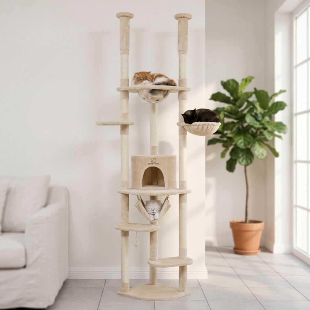 Arbre à Chat Plancher au Plafond Multi-Teintes 258cm