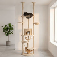 Arbre à Chat Plancher au Plafond Multi-Teintes 258cm
