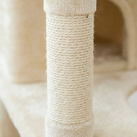 Arbre à Chat Plancher au Plafond Multi-Teintes 258cm