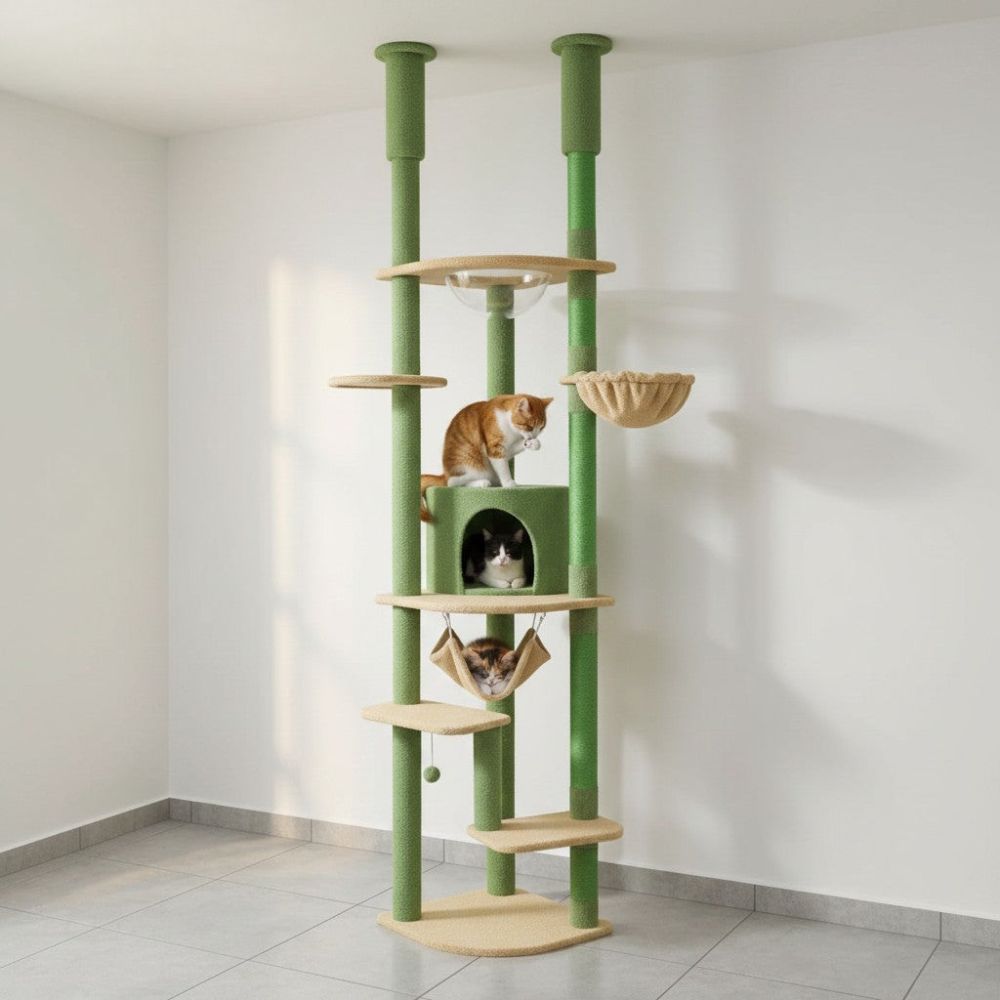 Arbre à Chat Plancher au Plafond Multi-Teintes 258cm
