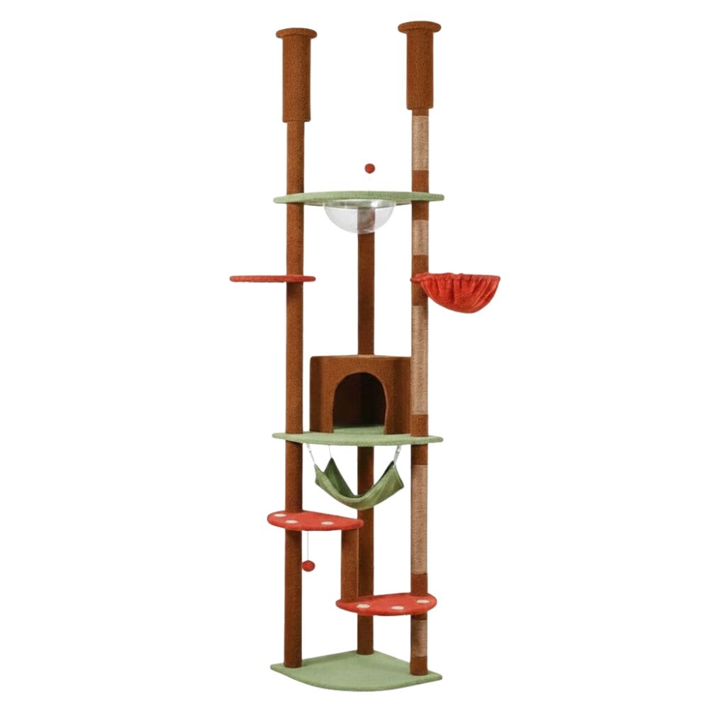 Arbre à Chat Plancher au Plafond Multi-Teintes 258cm