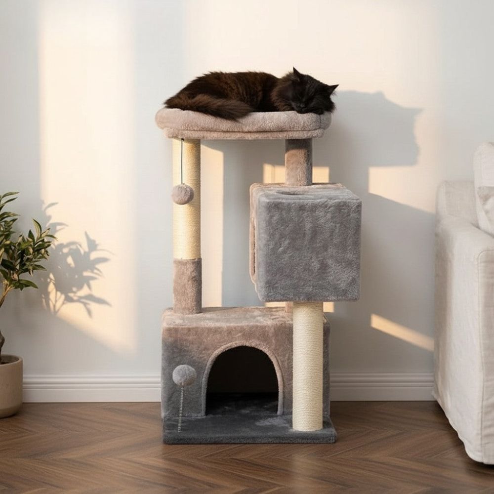 Arbre à Chat pour Petit Appartement Compact 80cm