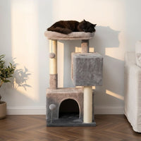 Arbre à Chat pour Petit Appartement Compact 80cm