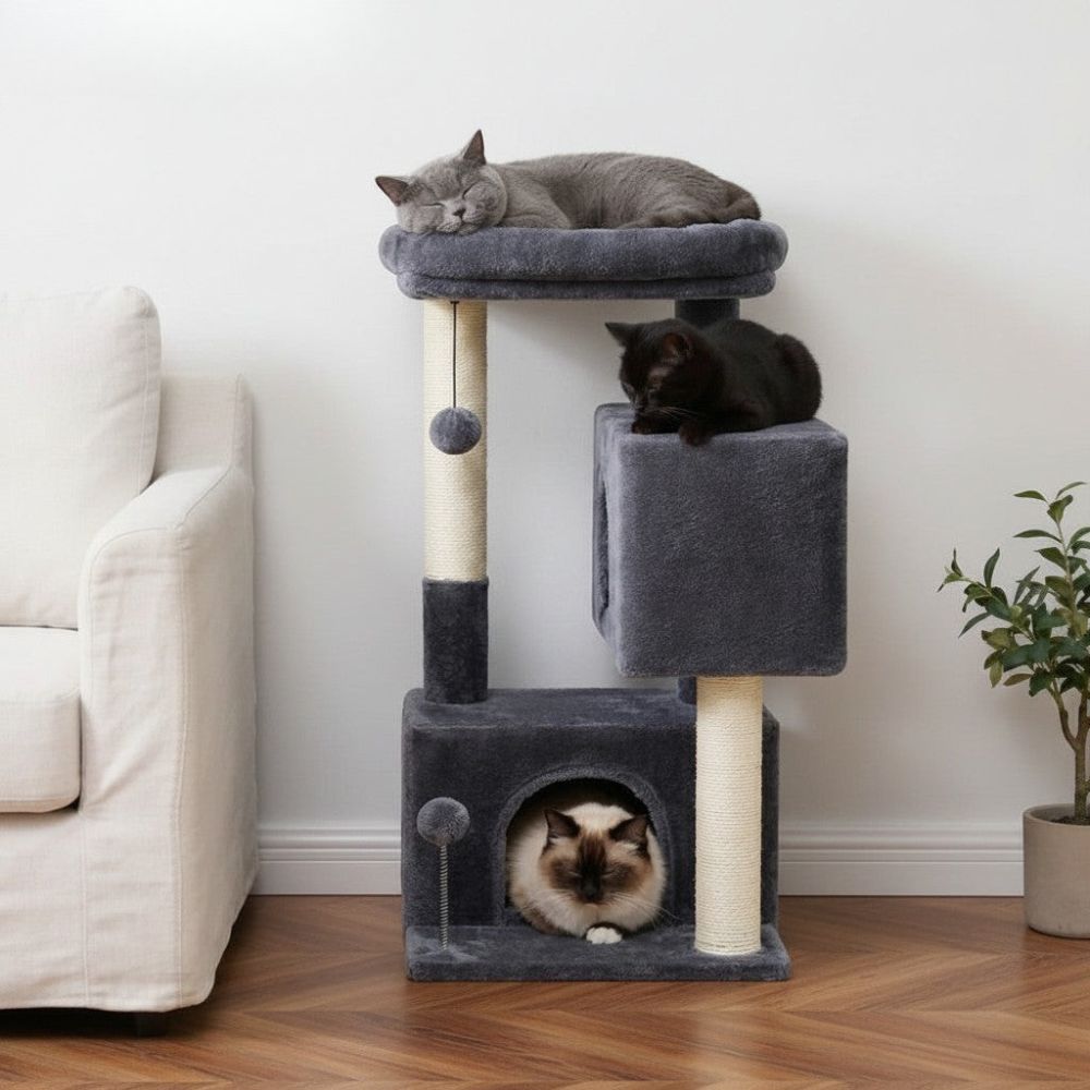 Arbre à Chat pour Petit Appartement Compact 80cm