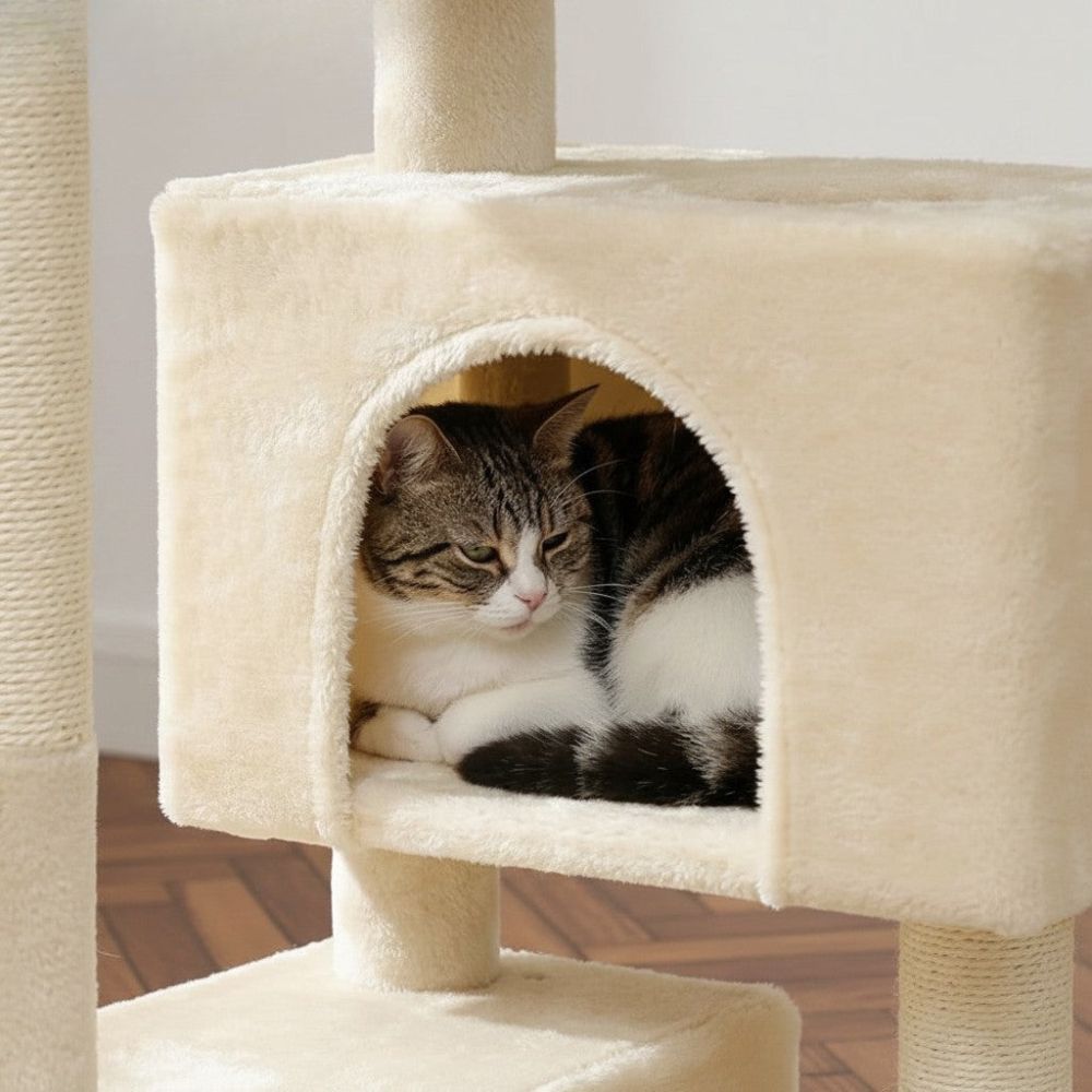 Arbre à Chat pour Petit Appartement Compact 80cm