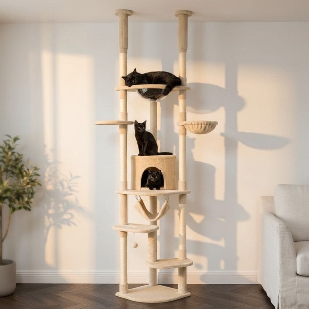 Arbre à Chat Sol-Plafond Finitions Design 258cm