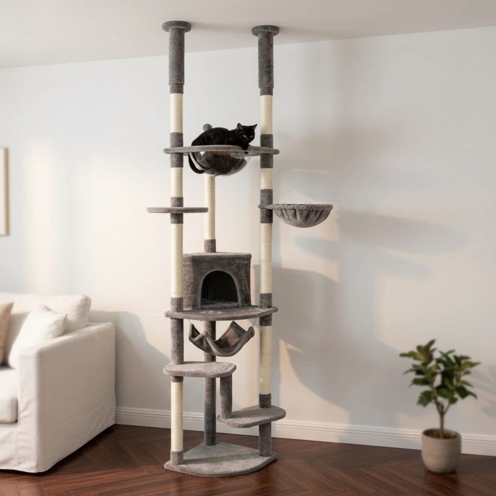 Arbre à Chat Sol-Plafond Finitions Design 258cm