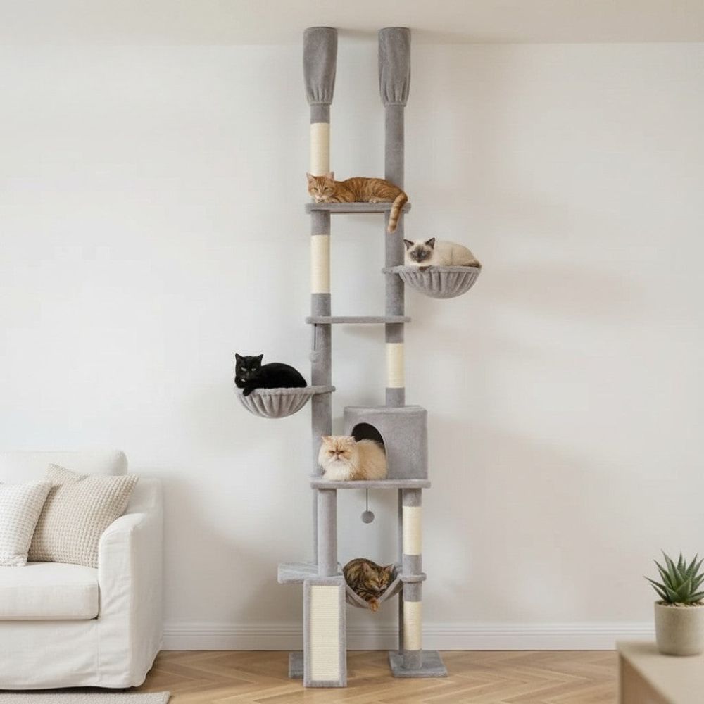 Arbre à Chat Sol-Plafond Jusqu'à 285cm