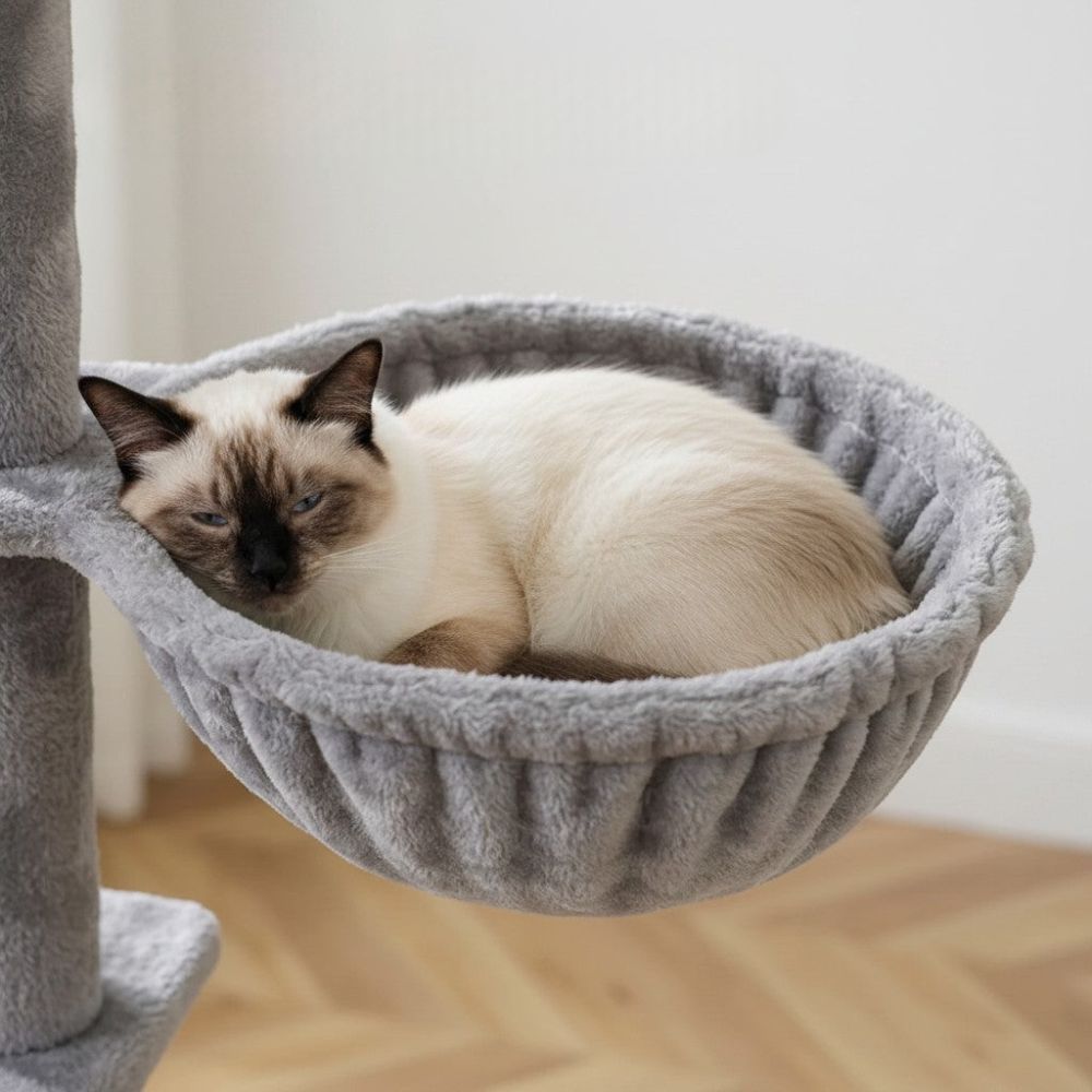 Arbre à Chat Sol-Plafond Jusqu'à 285cm