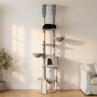 Arbre à Chat Sol-Plafond Jusqu'à 285cm