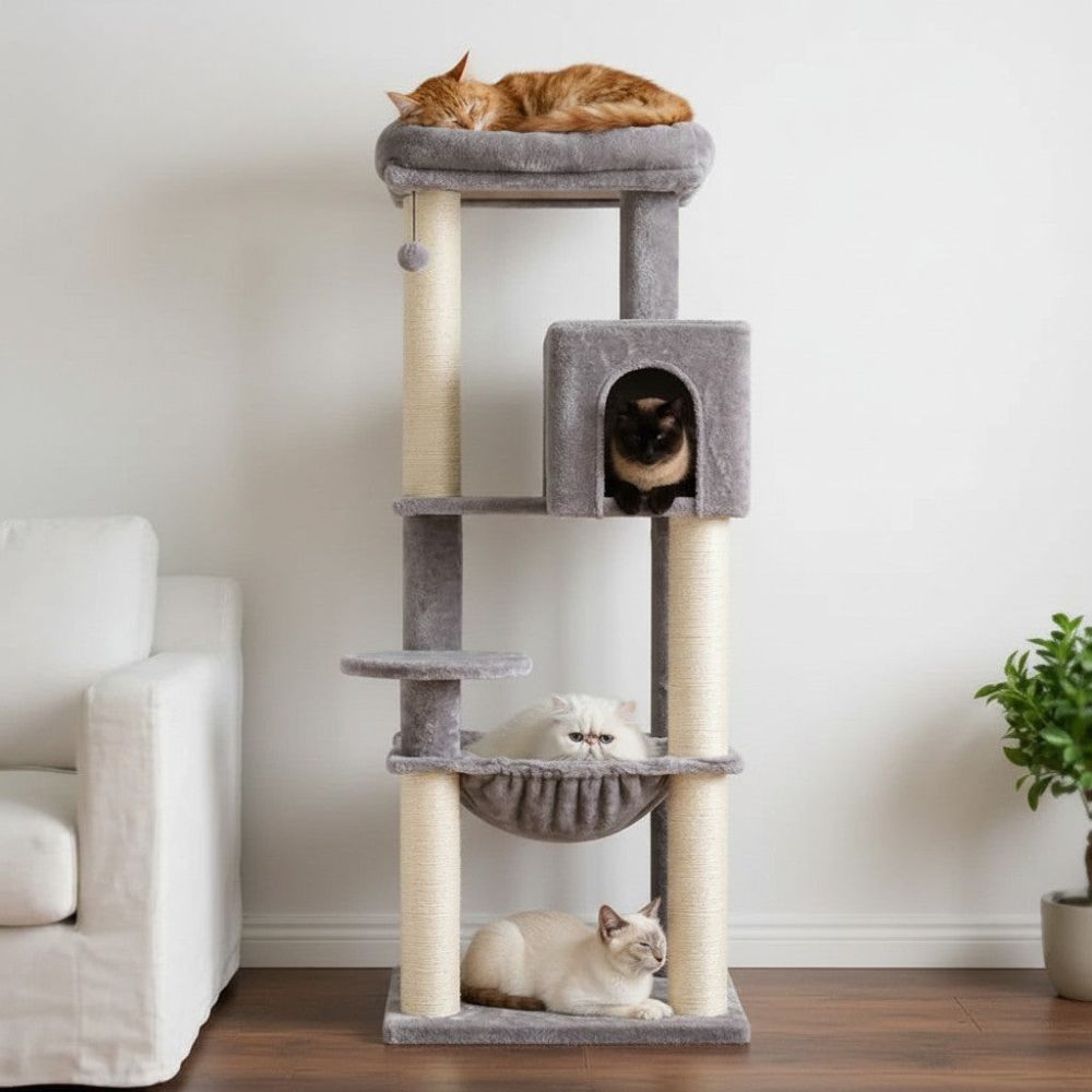 Arbre à Chat Solide Maine Coon Poteaux 10cm 147cm