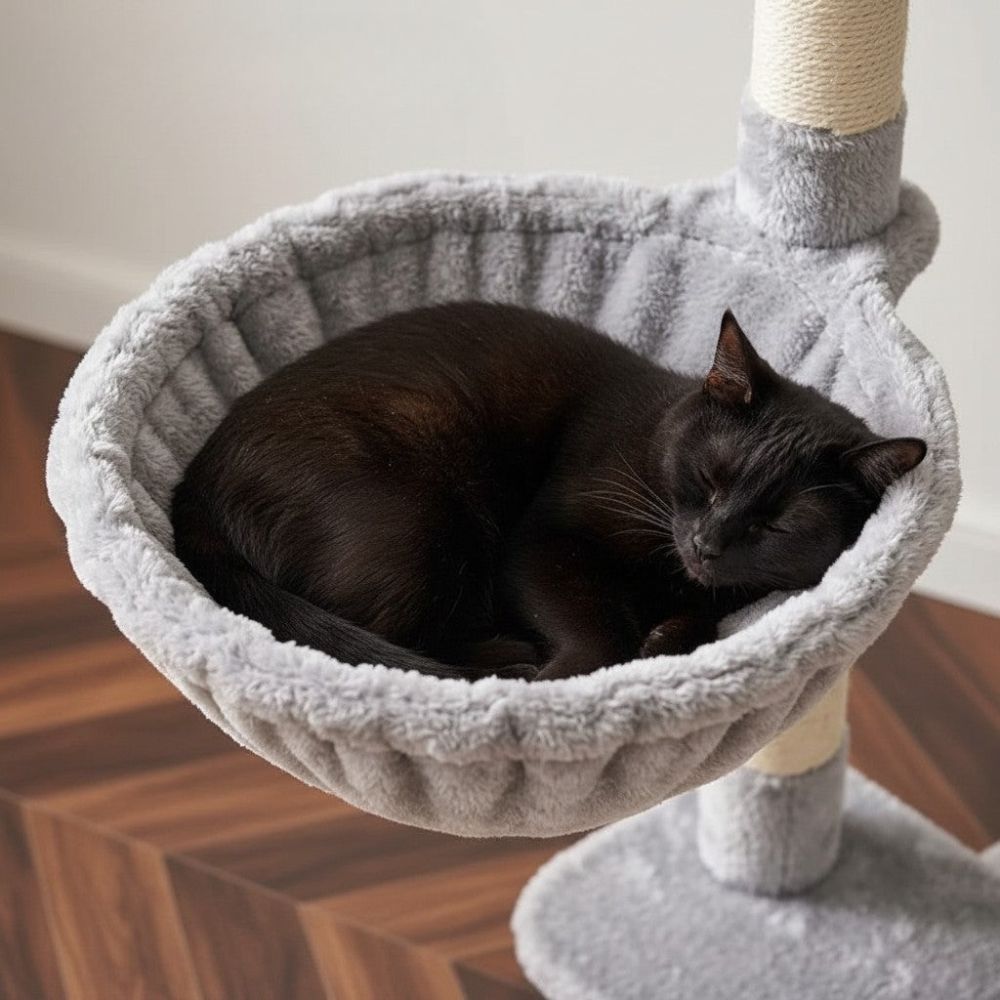 Arbre à Chat Solution Petit Espace 98cm