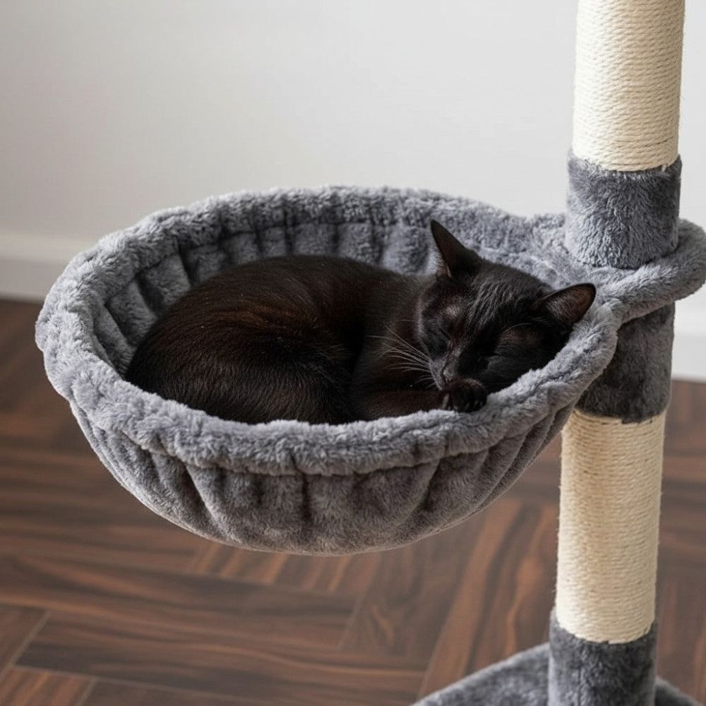 Arbre à Chat Solution Petit Espace 98cm