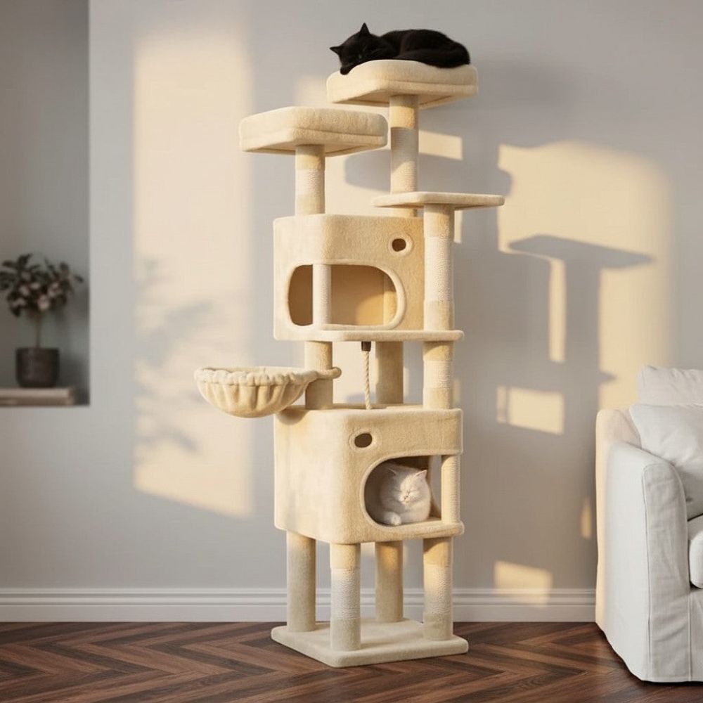 Arbre à Chat Spécial Maine Coon Adapté 160cm