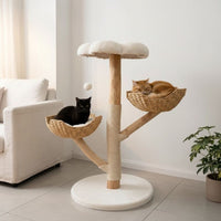 Arbre à Chat Tronc en Bois Flotté Naturel Brut 110cm
