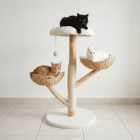 Arbre à Chat Tronc en Bois Flotté Naturel Brut 110cm