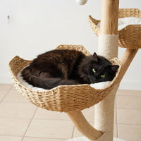 Arbre à Chat Tronc en Bois Flotté Naturel Brut 110cm