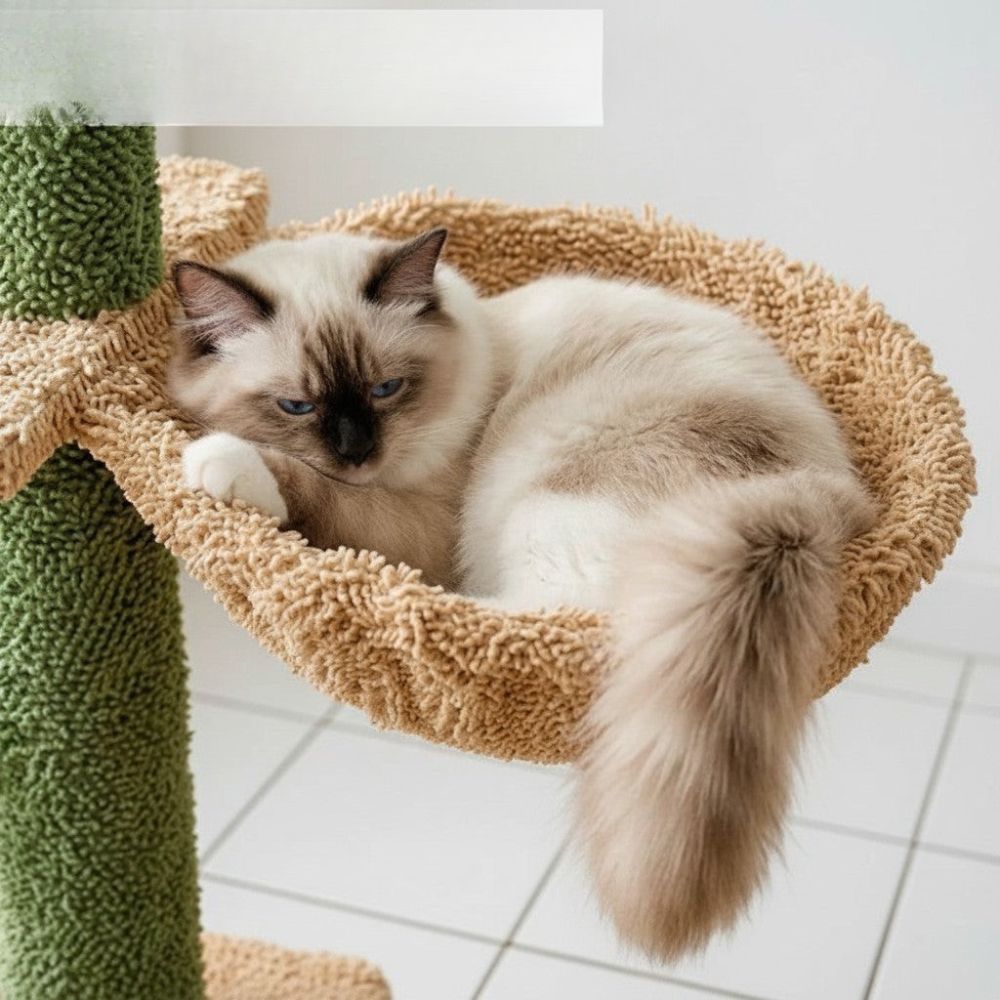 Arbre à Chat Vert Fixation Plafond 275cm
