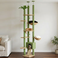 Arbre à Chat Vert Forêt Sol-Plafond Naturel