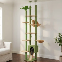 Arbre à Chat Vert Forêt Sol-Plafond Naturel