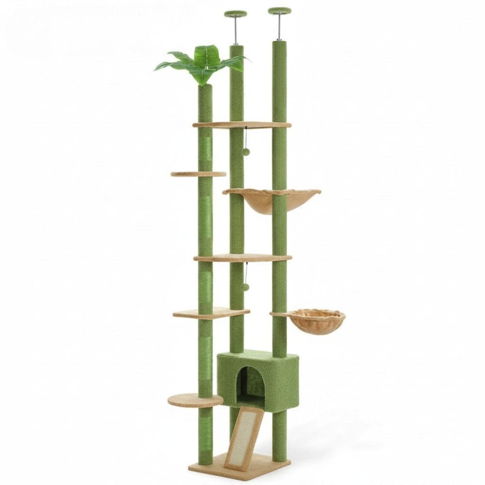Arbre à Chat Vert Forêt Sol-Plafond Naturel