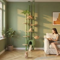Arbre à Chat Vert Sol au Plafond Réglable 252cm