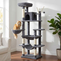 Grand Arbre à Chat pour Maine Coon 175cm