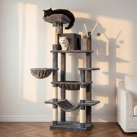 Grand Arbre à Chat pour Maine Coon 175cm