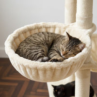 Grand Arbre à Chat pour Maine Coon 175cm