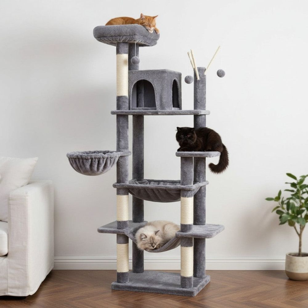 Grand Arbre à Chat pour Maine Coon 175cm