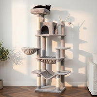 Grand Arbre à Chat pour Maine Coon 175cm