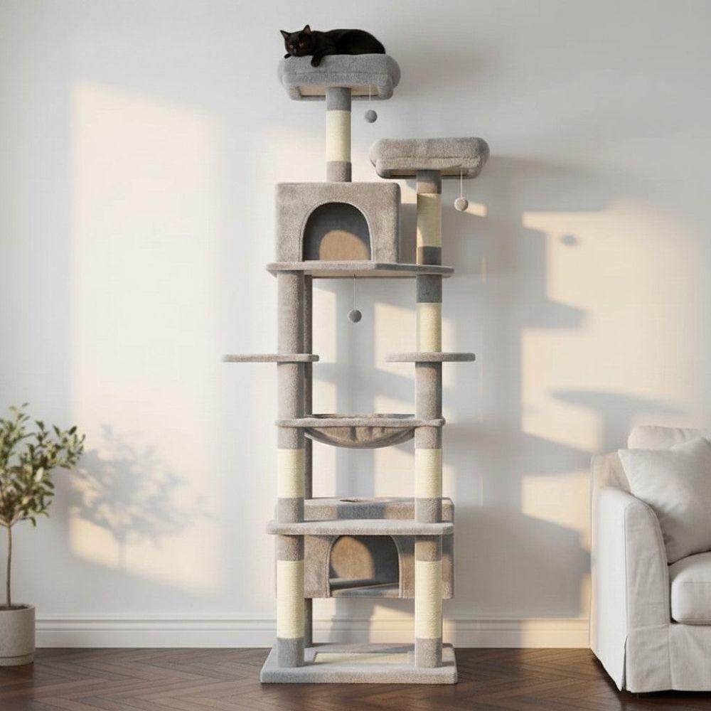 Grand Arbre à Chat pour Maine Coon 205cm