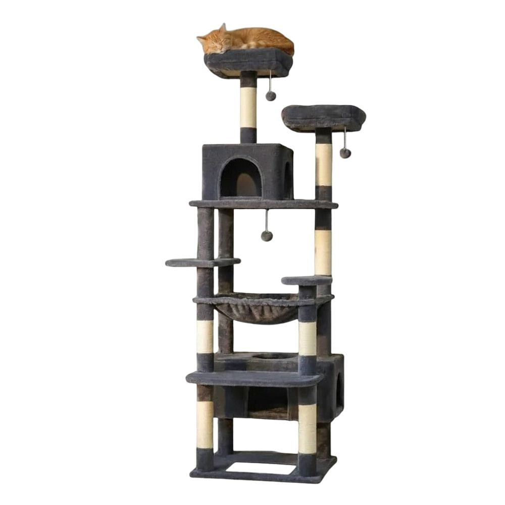 Grand Arbre à Chat pour Maine Coon 205cm